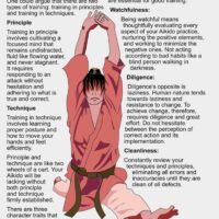 trainig in  Aikido