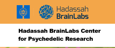 cfpr.brainlabs.org.il Website